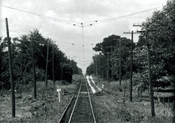ROW_Gen-east-transition.jpg