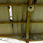 PP_Aurora_Platform6.jpg