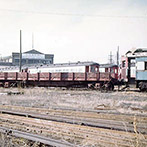 WD_7.jpg