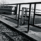 wolf_railing.jpg